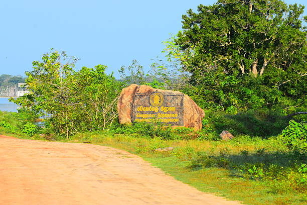 istock Amazing Sri Lankan Wildlife 2216949457