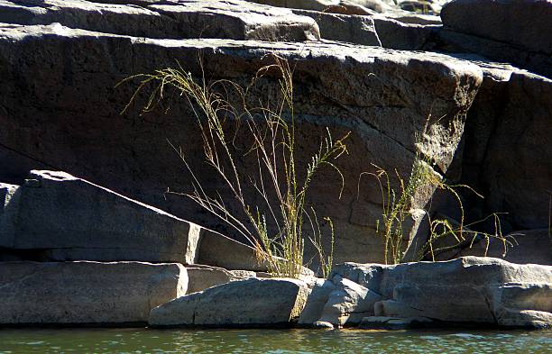 istock Pristine River Flowing Through Rocky dry Valley in Richtersveld 2216955833