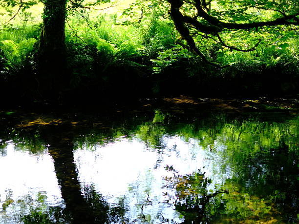 Beautiful reflections in moving water, late spring - early summer