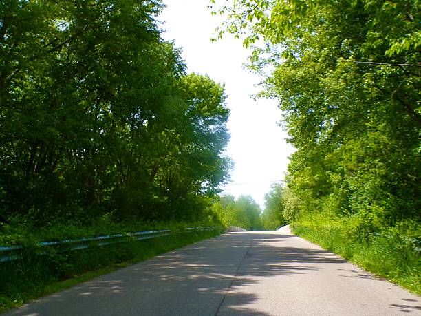 istock County road with trees on sunny day. 2216968471
