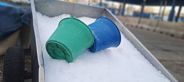 istock Green and blue buckets resting on ice bed 2216969730