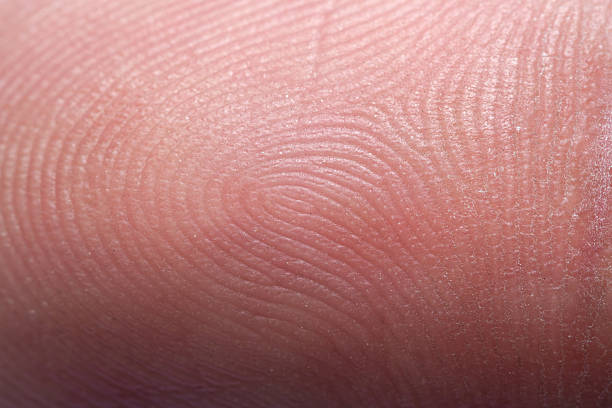 Black fingerprint on white.