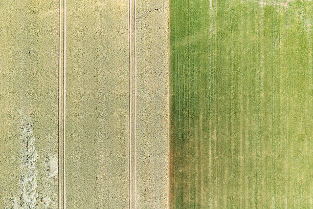istock Agriculture in the Taunus Mountains 2216974913