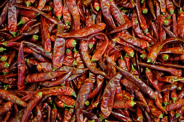 many dried red chili peppers