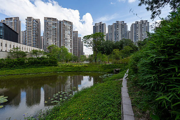 istock Urban Oasis: Modern Skyscrapers Reflecting in a Calm Pond 2216986203