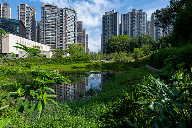 A serene urban landscape where modern skyscrapers reflect in a tranquil pond amidst lush greenery. The scene captures the harmony between nature and city life, offering a peaceful retreat within an urban setting. Visual style is vibrant and natural, evoking tranquility and balance. Potential usage includes real estate marketing, environmental campaigns, or lifestyle imagery.