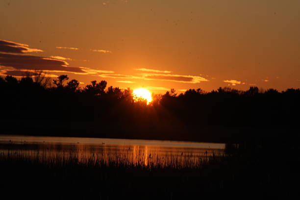 istock Sunsetting over a tree line Upper Michigan Sunset Distinct Silhouette Yellow Round Sun Reflection 2216986670