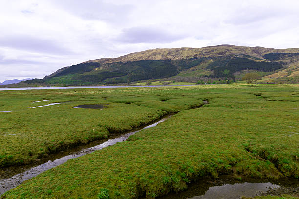 istock Lush greenery, amidst the Loch Leven flood plains, in Glencoe. 2216989152