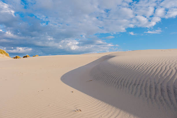 istock Serene coastal sand dunes under a vibrant sky in Denmark on a sunny day 2216990553
