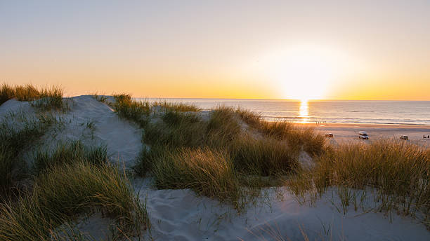 istock Breathtaking sunrise over the sandy dunes and tranquil beach in Denmark 2216990556