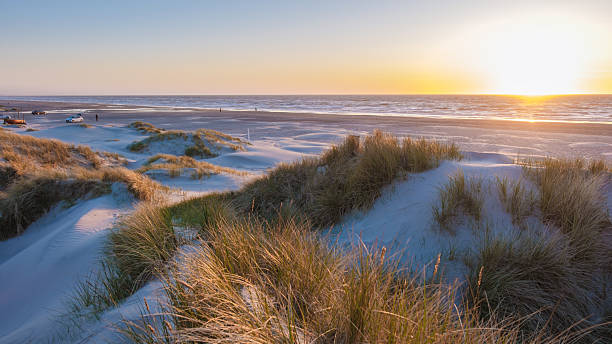 istock Beautiful sunset over sand dunes at a serene beach in Denmark with gentle waves 2216990559