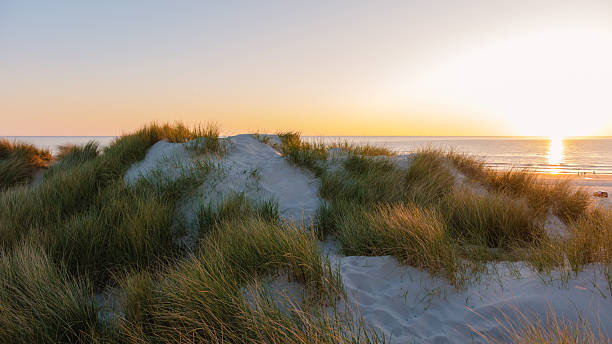 istock Captivating sunset over sandy dunes along the Danish coastline with tranquil sea views 2216990564