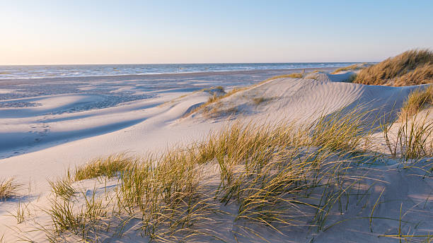 istock Breathtaking sunset over serene sand dunes and tranquil coastline in Denmark 2216991137