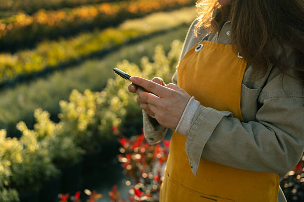 istock Female gardener using mobile phone in plant nursery at sunset 2216991205