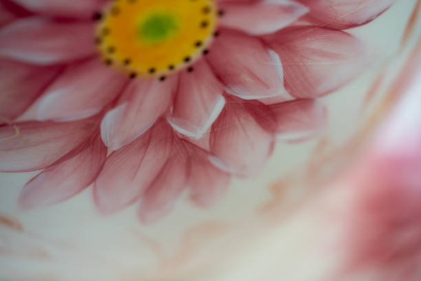 Soft close-up of a hand-painted pink flower with a yellow center on a white surface, ideal for art, backgrounds, and floral design projects.