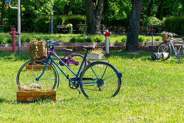 decorative blue bicycle with a basket and hay, placed on the grass in a park. A creative rustic-themed arrangement surrounded by greenery and other ornamental bikes