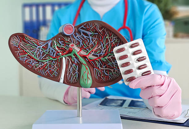 istock Healthcare professional demonstrates liver anatomy using a model while holding a blister pack of medication 2216993692
