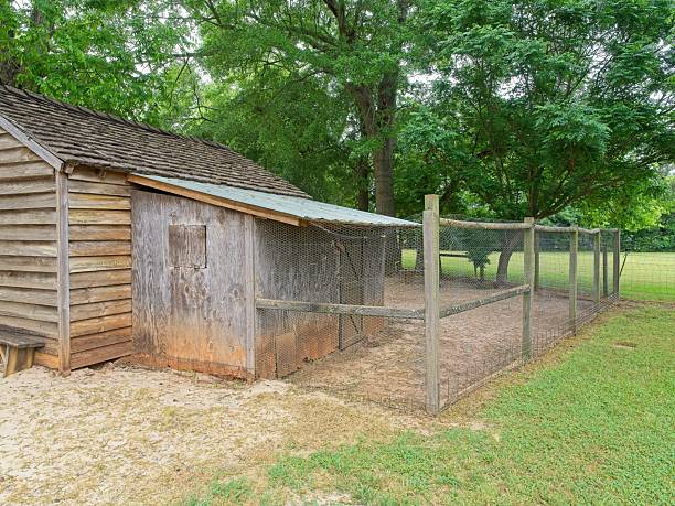 Chicken coop at Carter boyhood home