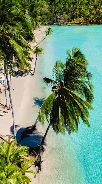 istock Discovering stunning paradise on Koh Kood with palm trees and crystal blue waters 2216994232