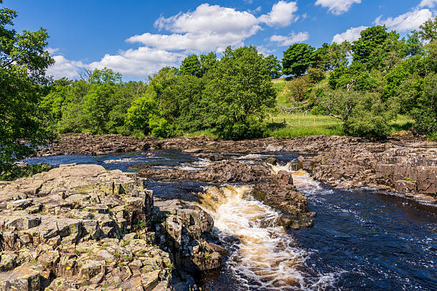 istock The Low Force Waterfall near Bowlees, England, UK 2216998680