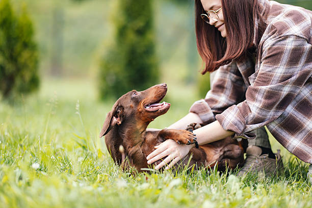 Woman smiling and laughing while playing with her energetic brown dachshund on a green lawn.