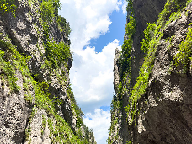 A stunning canyon landscape featuring a vibrant blue sky filled with fluffy white clouds, providing a picturesque view of natures beauty