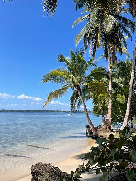 istock Panama beach Bocas del Torro daytime 2217007300