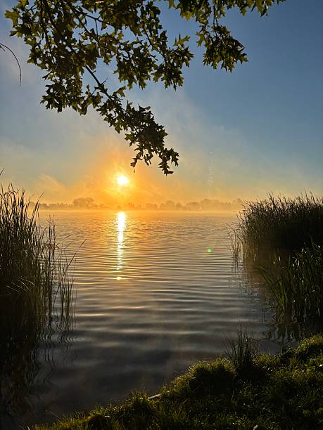 istock Netherlands Dutch sunset nature water 2217010863