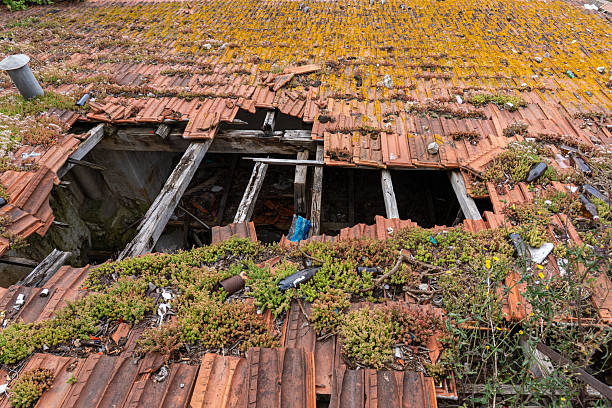 A deteriorating red-tiled roof partially collapses, exposing wooden beams beneath. Lush moss, scattered debris, and missing tiles reveal years of neglect and natural decay
