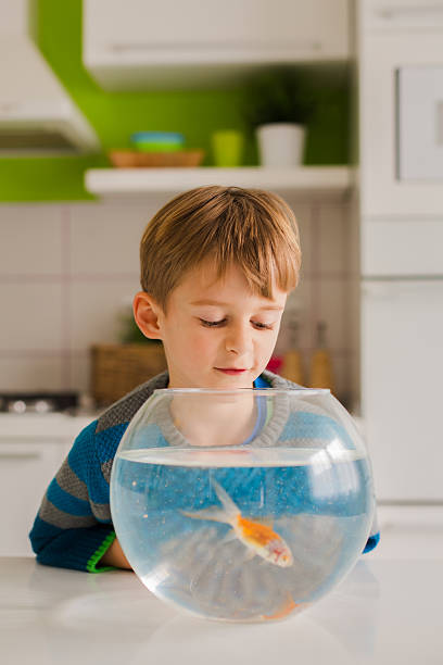 hand holding gold fish.Making wishes.wish fulfillment