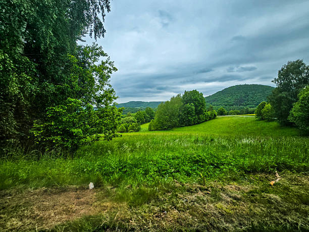 istock Nature Harmony Living Landscapes nature 2217019392