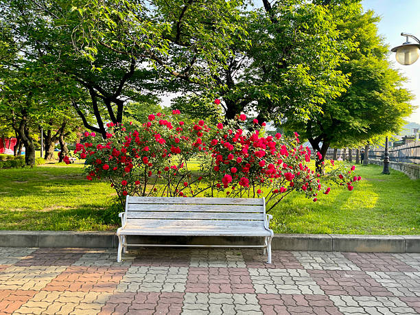 Seoul Hwadong Korea