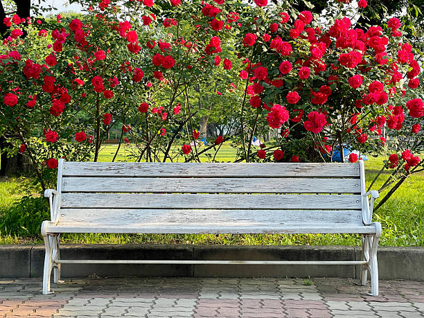 Seoul Hwadong Korea