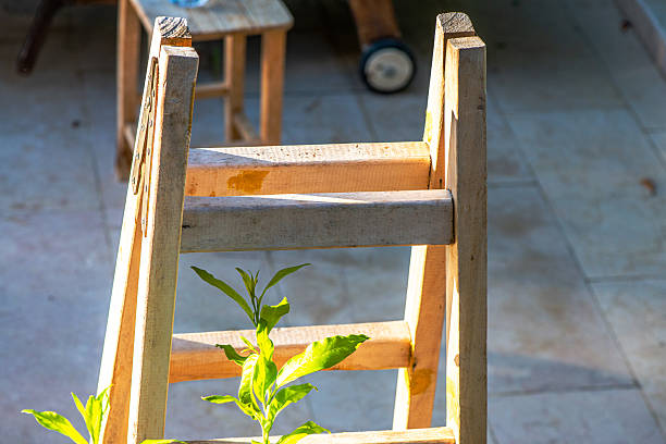 A bright and vivid photograph of a ladder basking in the sunlight, casting sharp shadows and emphasizing its structure against a clear sky or sunlit background.