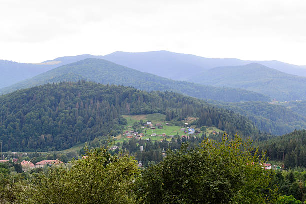 Lush, rolling hills covered in dense forests, with a small village nestled in the valley. A peaceful vista, perfect for conveying tranquility, nature, or escape.