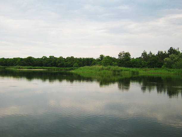 istock Calm waters reflect the verdant shoreline under a cloudy sky. Serene nature scene evokes peace, reflection,  escape. Ideal for travel, environment  wellness content. 2217040024