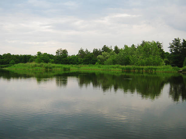 istock Tranquil water reflects lush greenery under an overcast sky. Evokes serenity, nature, and escape. Ideal for travel, environmental, and wellness themes. 2217040030