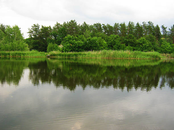 istock Serene landscape featuring a calm lake reflecting a lush green forest under a cloudy sky. Peaceful, natural scene suitable for relaxation, nature, or environmental themes. 2217040032