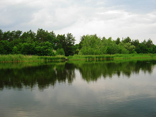Serene waters reflect a verdant treeline under a cloudy sky. Evokes peace, tranquility, and the beauty of nature. Ideal for travel, ecology, or relaxation themes.