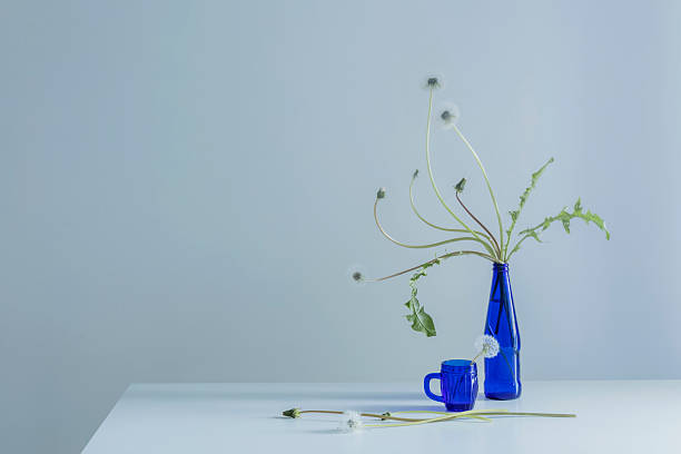 dandelions in blue bottle on blue background stock photo