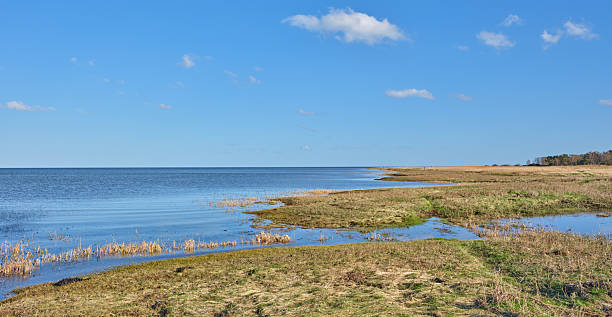 istock Scenic coastal landscape with marshlands and expansive blue sky 2217040775