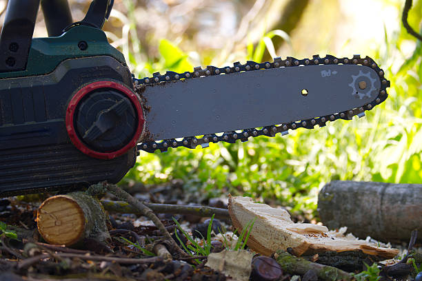 istock An electric chainsaw ready for cutting wood, showcasing its sharp blade and power. 2217055796