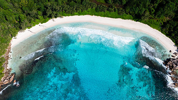 istock Tropical beach with waves breaking on the shore. La Digue, Seychelles. 2217055979