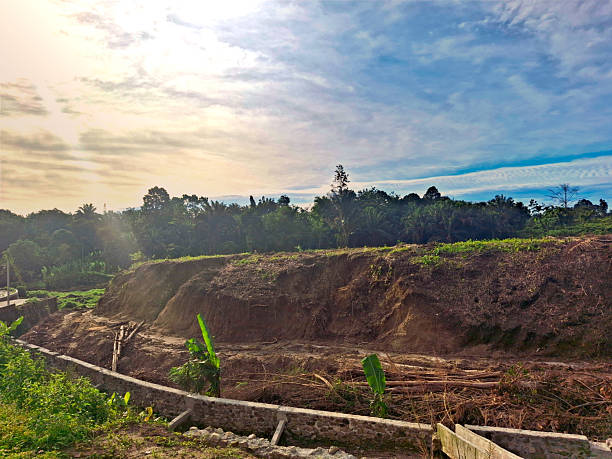 istock Deforested Hillside with Erosion Control Measures in Tropical Landscape 2217056598