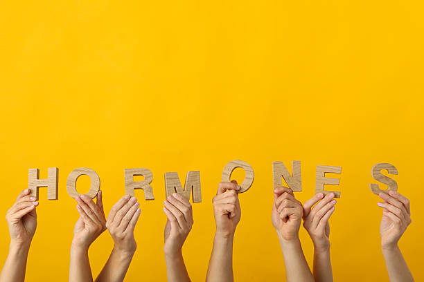 istock The word hormones in human hands, on a light background. 2217058249