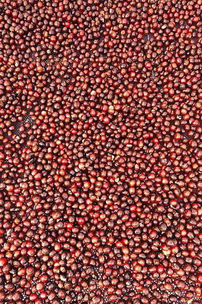 istock close up of fresh coffee beans 2217060213