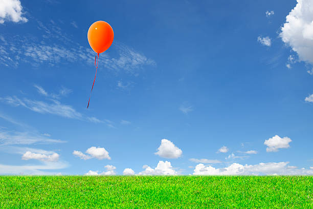 Orange balloon floating in the blue sky over the green hill with copy space.