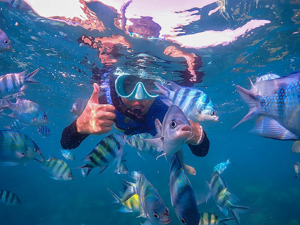 istock Freediver Swimming in Deep Sea DIver Eploring Sea Life. 2217064020