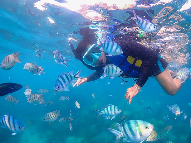istock Freediver Swimming in Deep Sea DIver Eploring Sea Life. 2217064051
