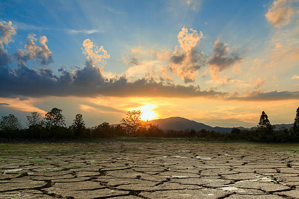 istock Concepts with cracks soil during the dry season 2217069810
